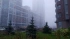 Днем 3  ноября в отдельных районах Ленобласти ожидается туман