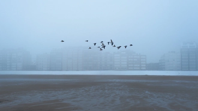 В субботу утром Петербург окутал густой туман