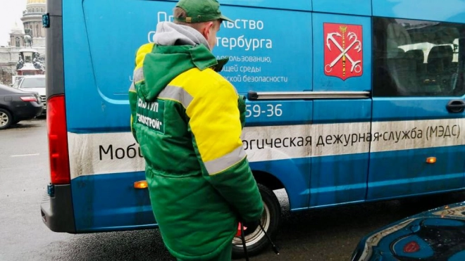 За неделю петербуржцы более 300 раз обратились в экологические службы
