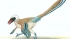 Палеонтологи открыли новый вид динозавра-вектираптора, который умел забираться на деревья