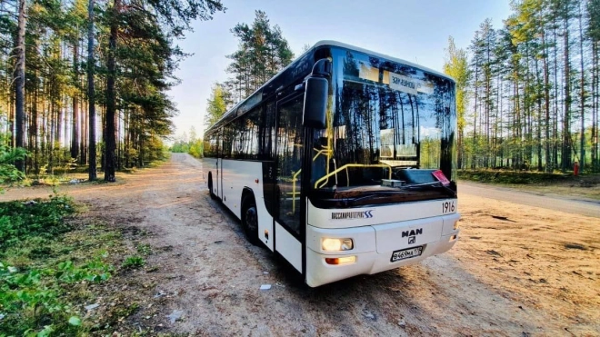 Автобусы "Пассажиравтотранса" перевезли 270 детей в оздоровительный лагерь Курортного района