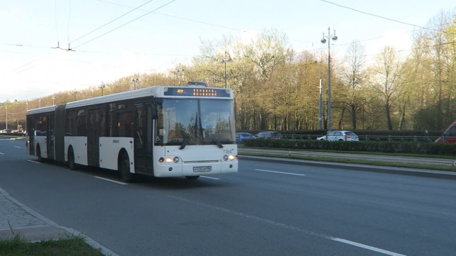 С 15 июля автобус №282 свяжет "Купчино", "Проспект Славы" и Дунайский проспект