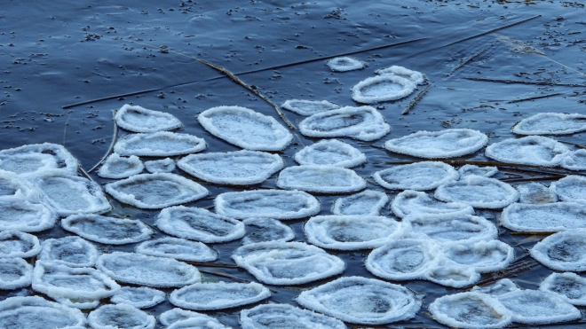 В "Парке Монрепо" заметили первый лед в виде пенных ледяных кругов