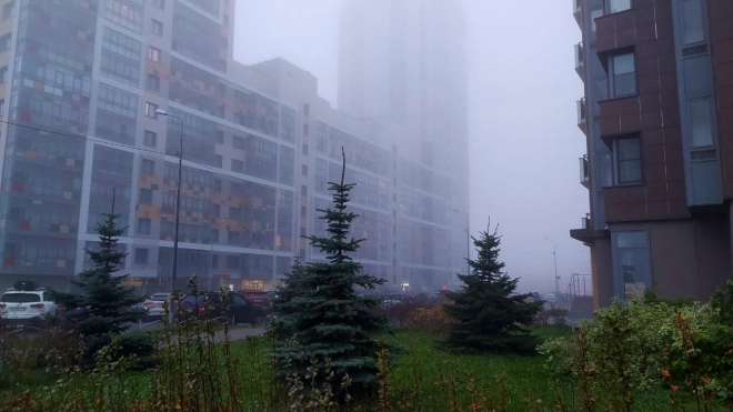 Ночью 15 октября в отдельных районах Ленобласти ожидается туман