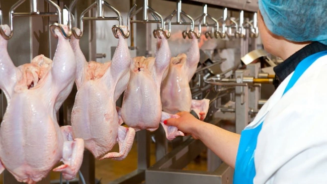 Минсельхоз: в России будут производить больше мяса птицы