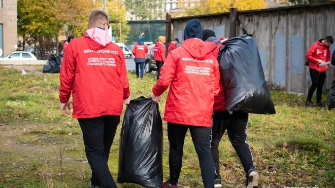 В Петербурге трудятся сотни тысяч волонтёров