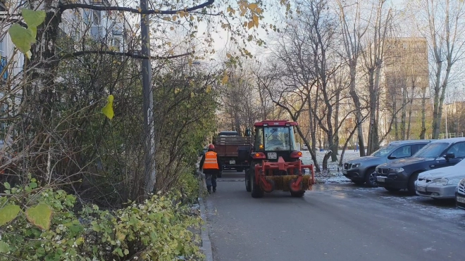 За неделю с улиц Петербурга вывезли более 1,2 тысячи кубометров мусора