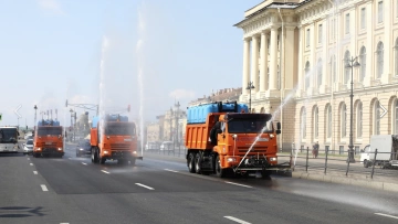 На очистку петербургских улиц вывели 519 единиц спецтехники