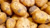 В России зафиксировали рост оптовых цен на картофель ...