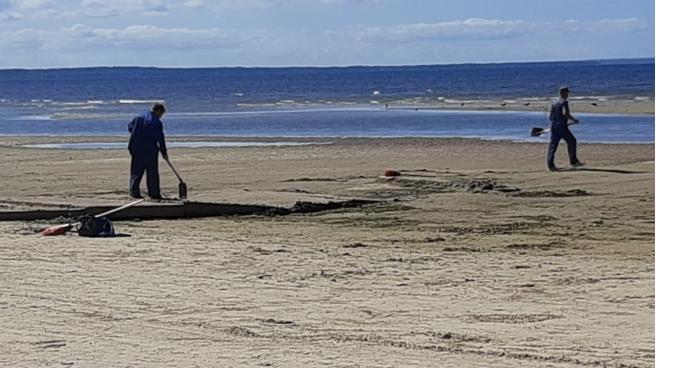 Специалисты привели в порядок пляж в Сосновом Бору 