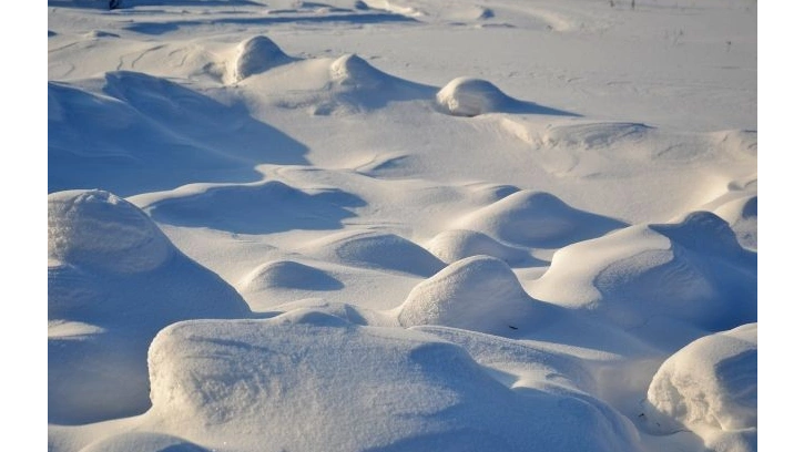 В Выборгском районе Петербурга обнаружили несанкционированную снежную свалку