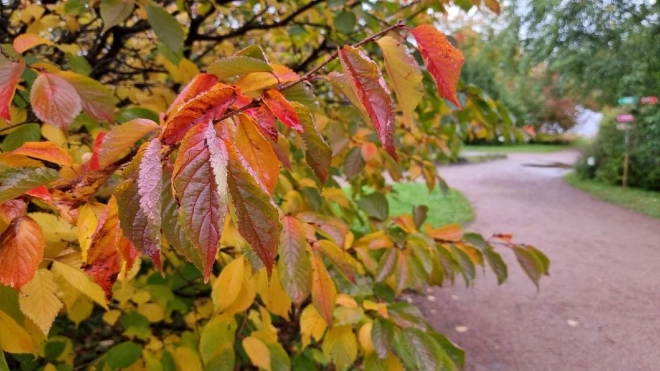 Ботанический сад переходит на зимний режим работы с 3 октября