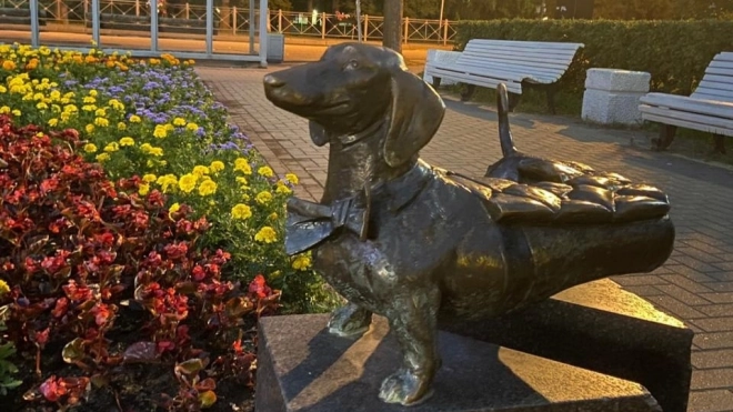 Ко Дню собак памятникам дворняжке и таксе подарили подсветку