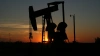 США возобновили импорт российской нефти после полуторого...