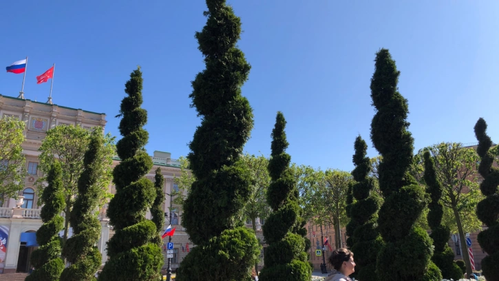 Липовый сад у Мариинского дворца обошелся городу в 162 млн рублей