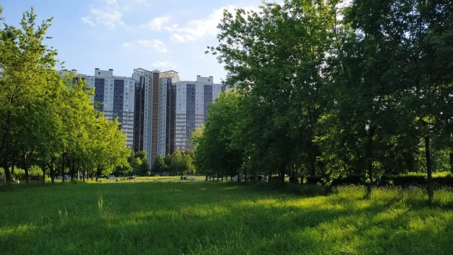 Впервые за 12 лет вырастет плата за социальное жилье в Петербурге