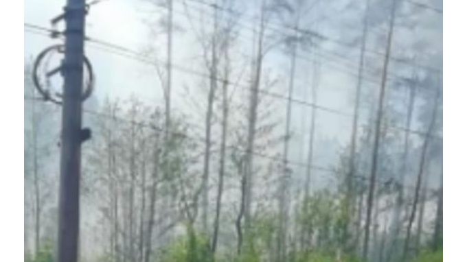 Очевидцы: в Кировском районе загорелся лес
