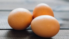 ФАС призвала торговые сети ограничить наценки на куриные яйца до 5%