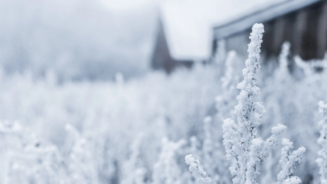 В Ленобласти 27 января ожидается морозная погода