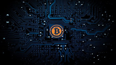Майнеры Ethereum заработали рекордную за сутки сумму на фоне обвала рынка