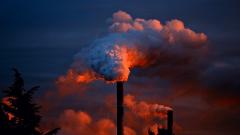 Правительство приостановит выплаты дивидендов предприятиям-загрязнителям