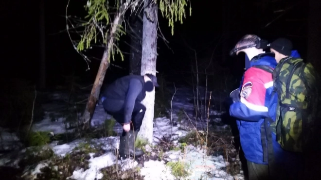 Спасатели вывели из леса заблудившегося мужчину в районе деревни Хвалово