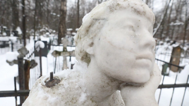 В Петербурге стартовал сбор средств на восстановление памятника на могиле писателя Виталия Бианки на Богословском кладбище