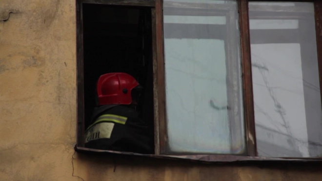 В парадной жилого дома в Пушкине загорелся бездомный