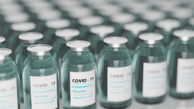 Эксперт прокомментировал предложение создать международную группу для разработки плана по массовой вакцинации от COVID-19