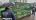 Сотрудники ККИ за неделю прикрыли в Петербурге более 60 ларьков с арбузами и дынями