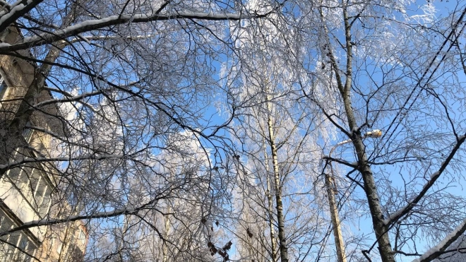 Снежный покров в Петербурге достиг отметки в 38 сантиметров