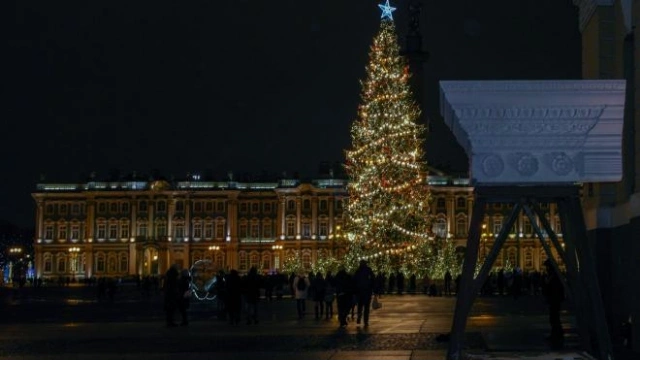 Петербуржцы выбрали установку живой новогодней елки на Дворцовой площади