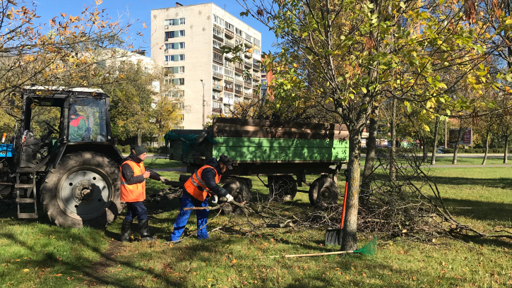 В Пулковском парке прошел субботник В Пулковском парке прошел субботник