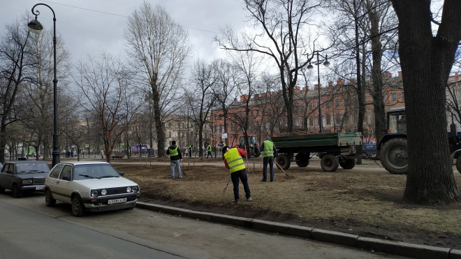 В Петербурге 15 марта будет тепло и дождливо