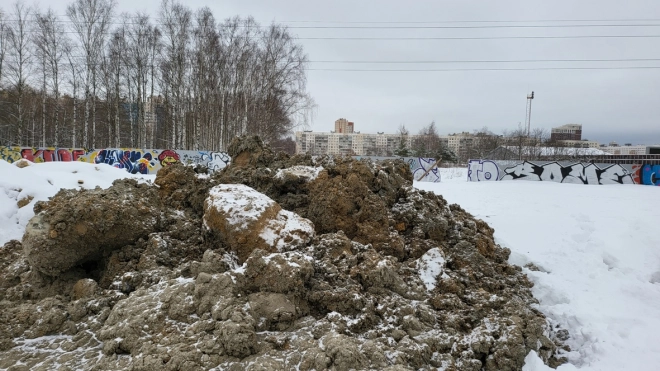 Депутат МО "Гражданка" подал заявление в полицию по факту складирования грунта в Муринском парке