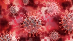 Вирусолог РАН Чумаков назвал омикрон-штамм живой вакциной