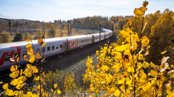 На ноябрьские праздники из Петербурга назначат дополнительные поезда