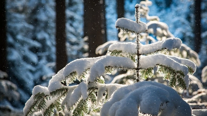 МЧС: 21 февраля в Петербурге ожидается усиление снега