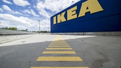 Девелоперская компания запросила 7 млн рублей убытков по строительству Ikea в Московской области