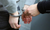 Жителя Вырицы арестовали за интимную связь с 13-летней школьницей Жителя Вырицы арестовали за интимную связь с 13-летней школьницей