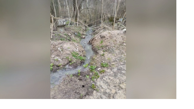 Разлив канализационных вод произошёл в Ленобласти