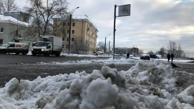 Леус рассказал, уничтожит ли аномальное тепло весь снег в Петербурге