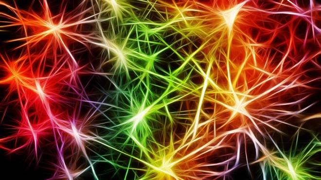 Ученые нашли новые особенности в работе нервных клеток 