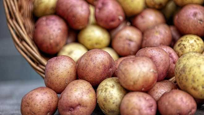 Власти ищут меры для снижения цен на картофель и овощи 
