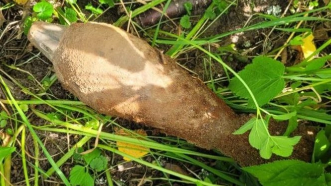 Две минометные мины военных времен обнаружены в Выборгском районе Ленобласти за минувшие сутки 
