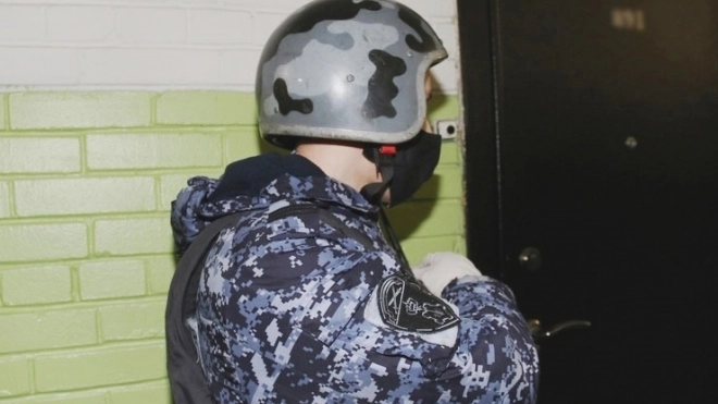 В Петергофе задержали нетрезвого мужчину, который с топором напал на дверь соседа