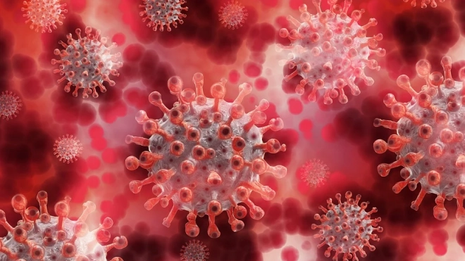 Вирусолог из США заявил, что коронавирус мог эволюционировать в теле китайского шахтера в 2012 году