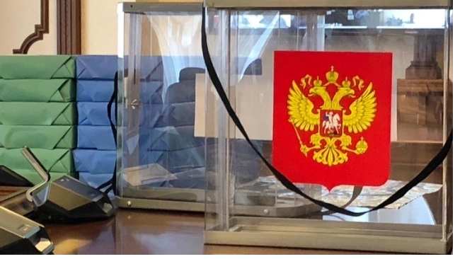 В Петербурге на нескольких участках не признали итоги голосования на выборах в Госдуму