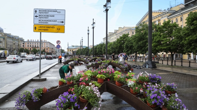 Список растений для озеленения Петербурга предложили обновить с учетом климатических изменений