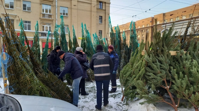 После рейда в Петербурге закрыли 38 незаконных елочных базаров